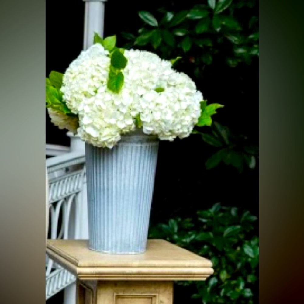 Meet your Posher, Kylee